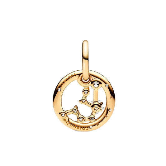 Charm Pendente Segno Zodiacale Acquario 762717C01-2