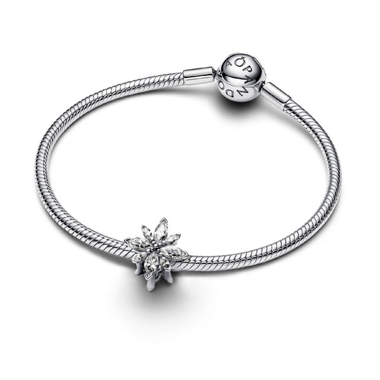 Charm Pandora in argento a stella polare con 16 zirconi MISURA UNICA